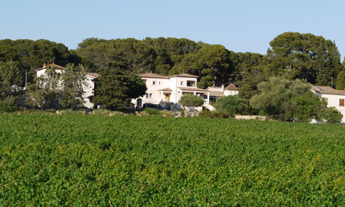 Haut brideau Castelnau de Guers 1 - OTPVH