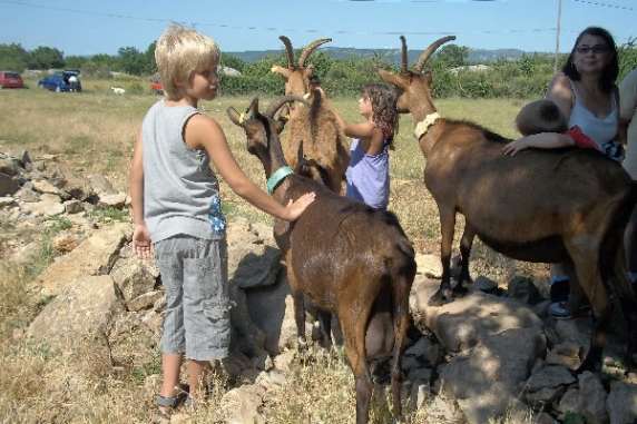 LES MERCREDIS AU PAYS : FERME DU MAS ALENGRIN - MAS-ALENGRIN-2 - Crédit : OFFICE DE TOURISME GRAND ORB