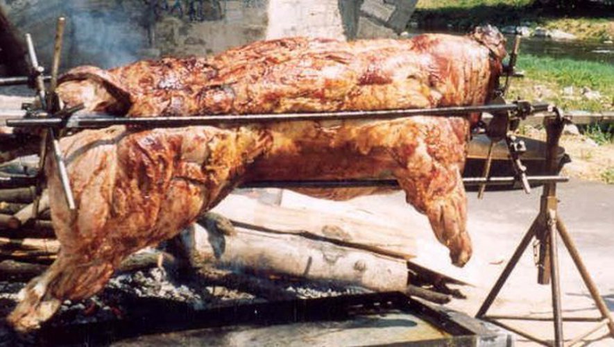 BOEUF A LA BROCHE 2019 - PHOTO-BOEUF - Crédit : CAB GRAND ORB