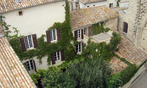 ST Thibéry Saint Sauveur coquille - © otpvh