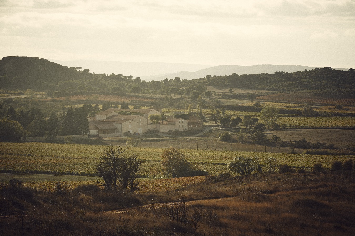 DOMAINE D'AUSSIÈRES