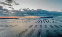 Patrimoine Agglopole