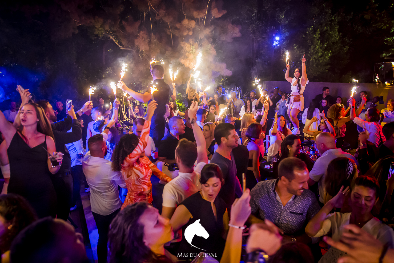 MAS DU CHEVAL, Lattes - photo 6