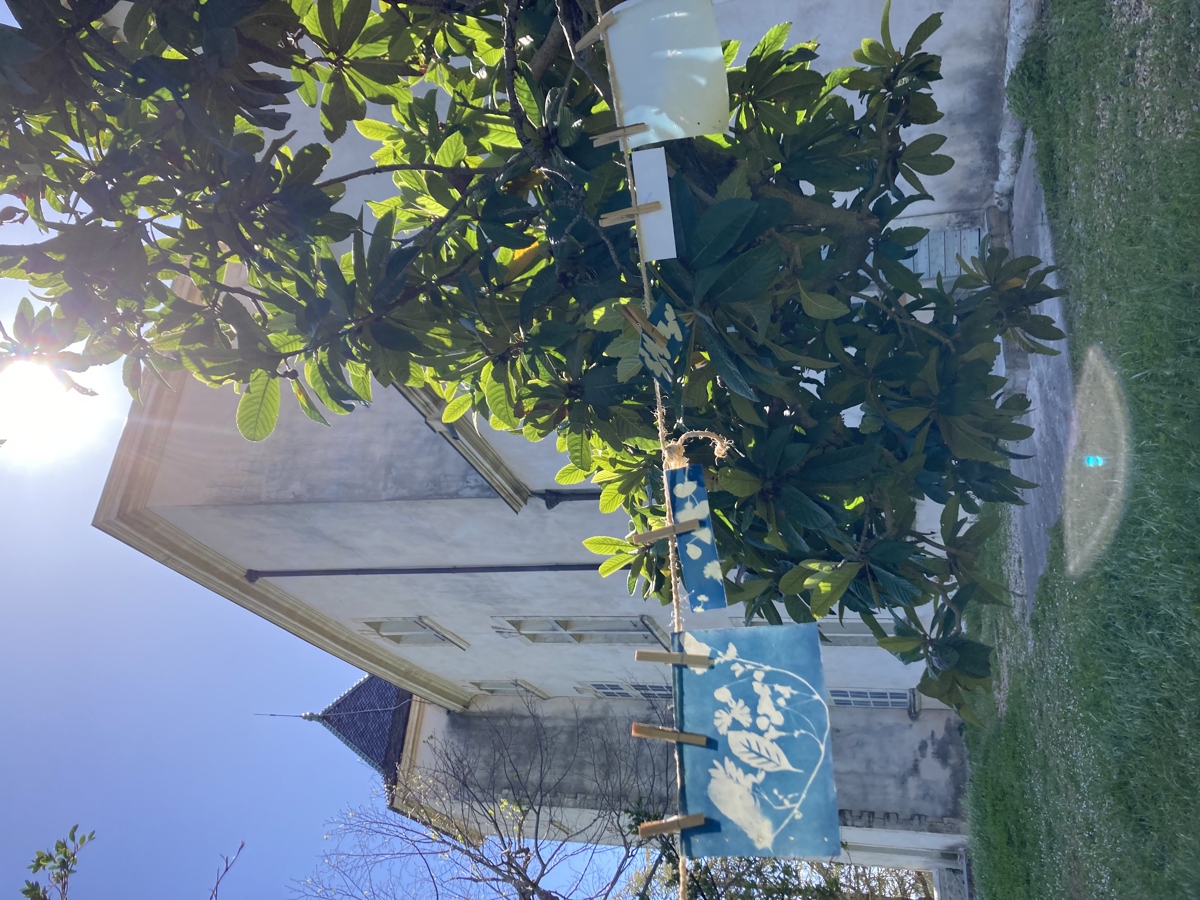 LES ATELIERS DE LA CABANE : DÉCOUVERTE DU CYANOTYPE