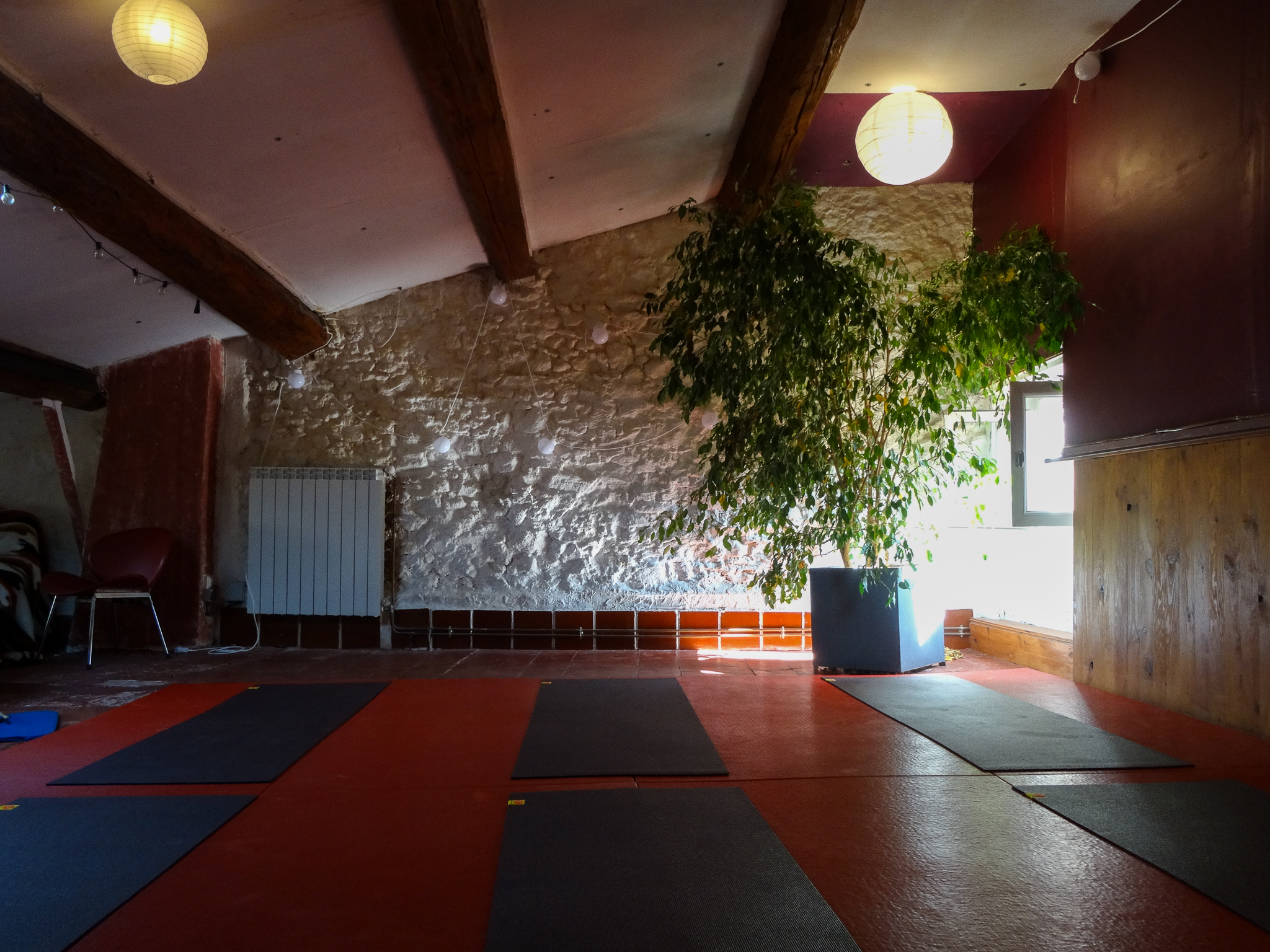 LES CHOSES SAUVAGES — photo 2