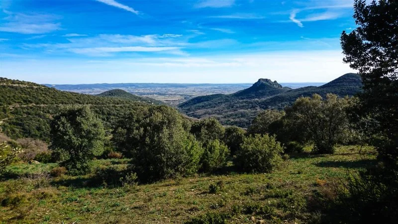 APRÈS-MIDI FESTIVE SUR LE SENTIER DES POÈTES  — visuel événement