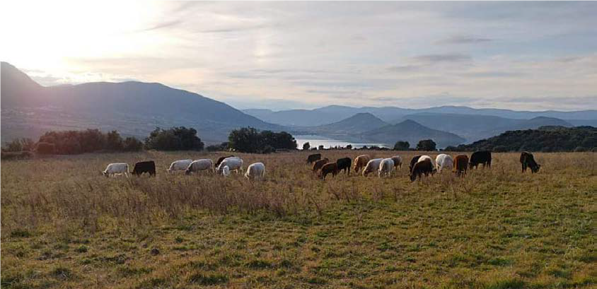 RANDO GOURMANDE SUR LES HAUTEURS DU SALAGOU