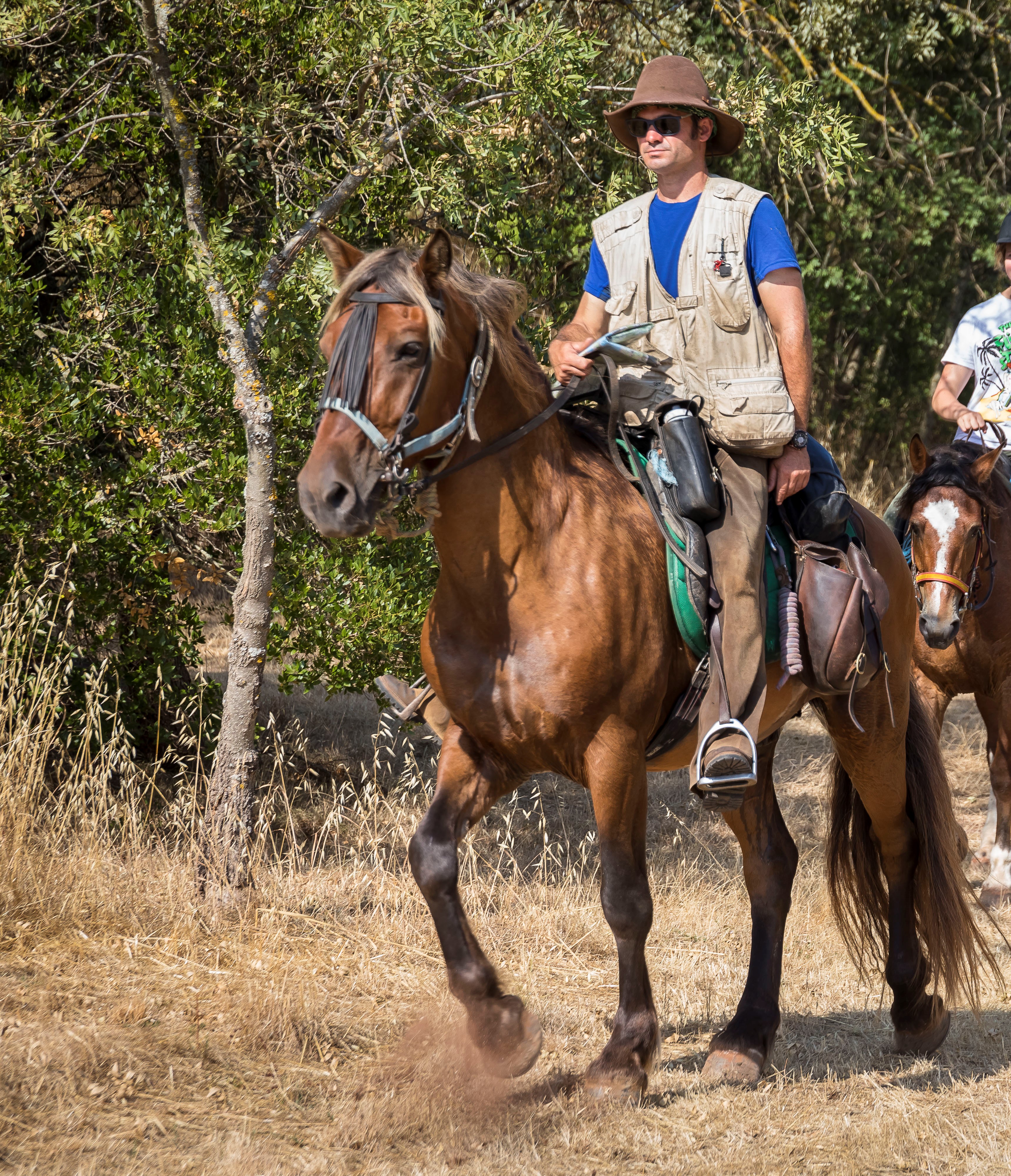 Reportage: Colo CCAS 15-17ans itinérante à cheval à partir de Ceilhe
