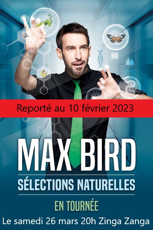 2022-03-26 report Max Bird ZZ