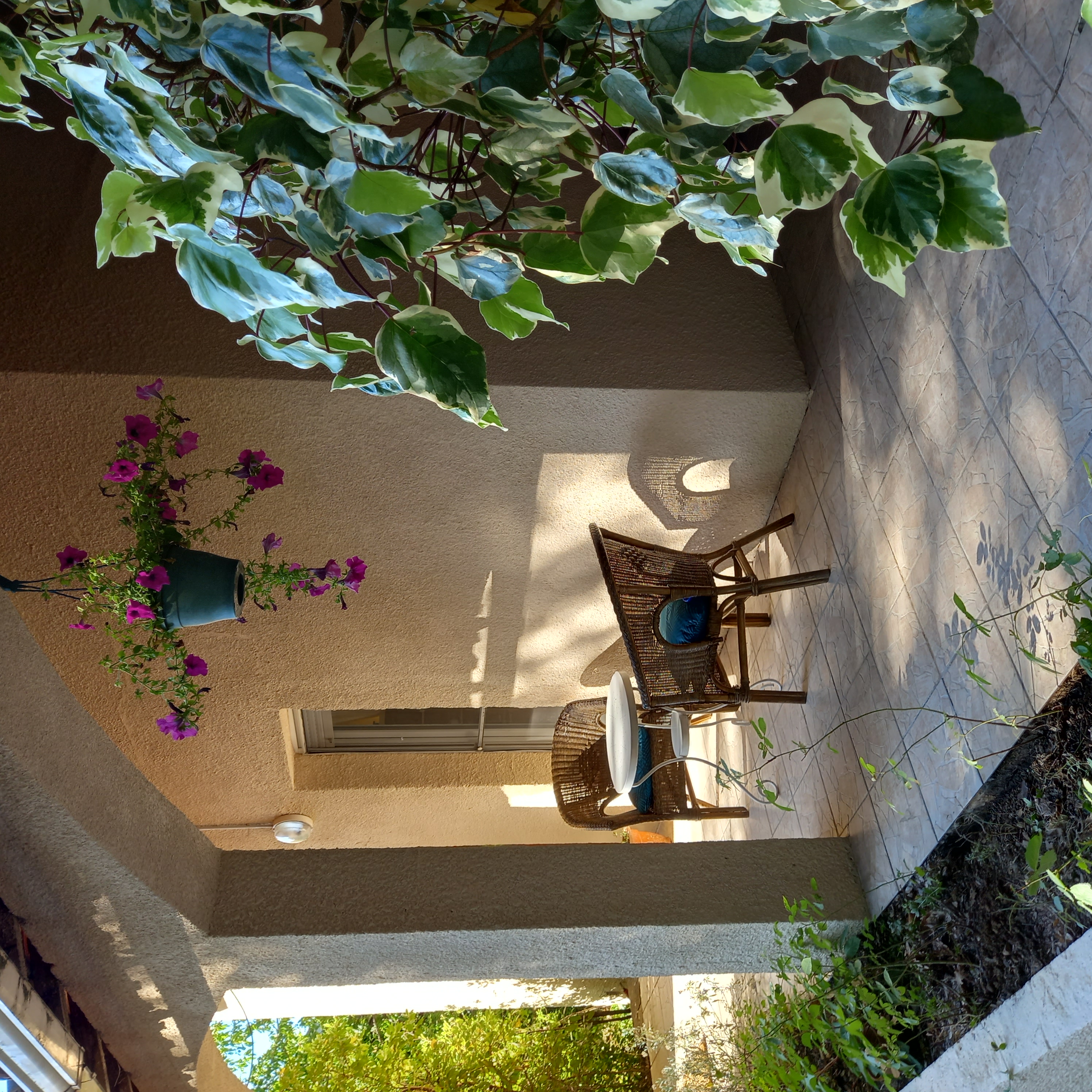 GÎTE LES MÛRIERS