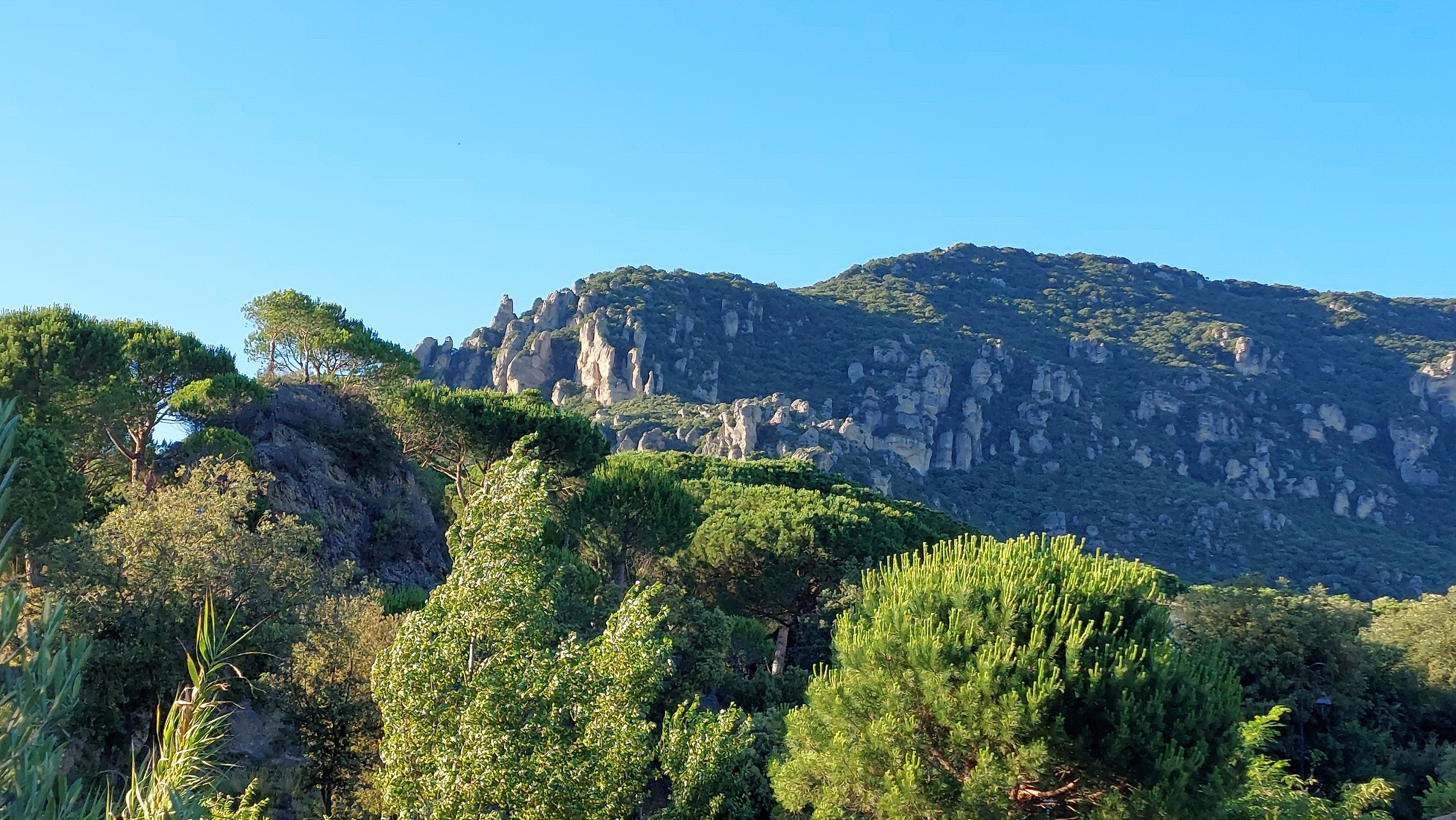 LES JONCAS - CHAMBRE LE CIRQUE