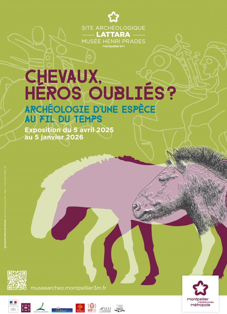 Site-archéologique-Lattara-musée-Henri-Prades-de-Montpellier-Méditerranée-Métrop