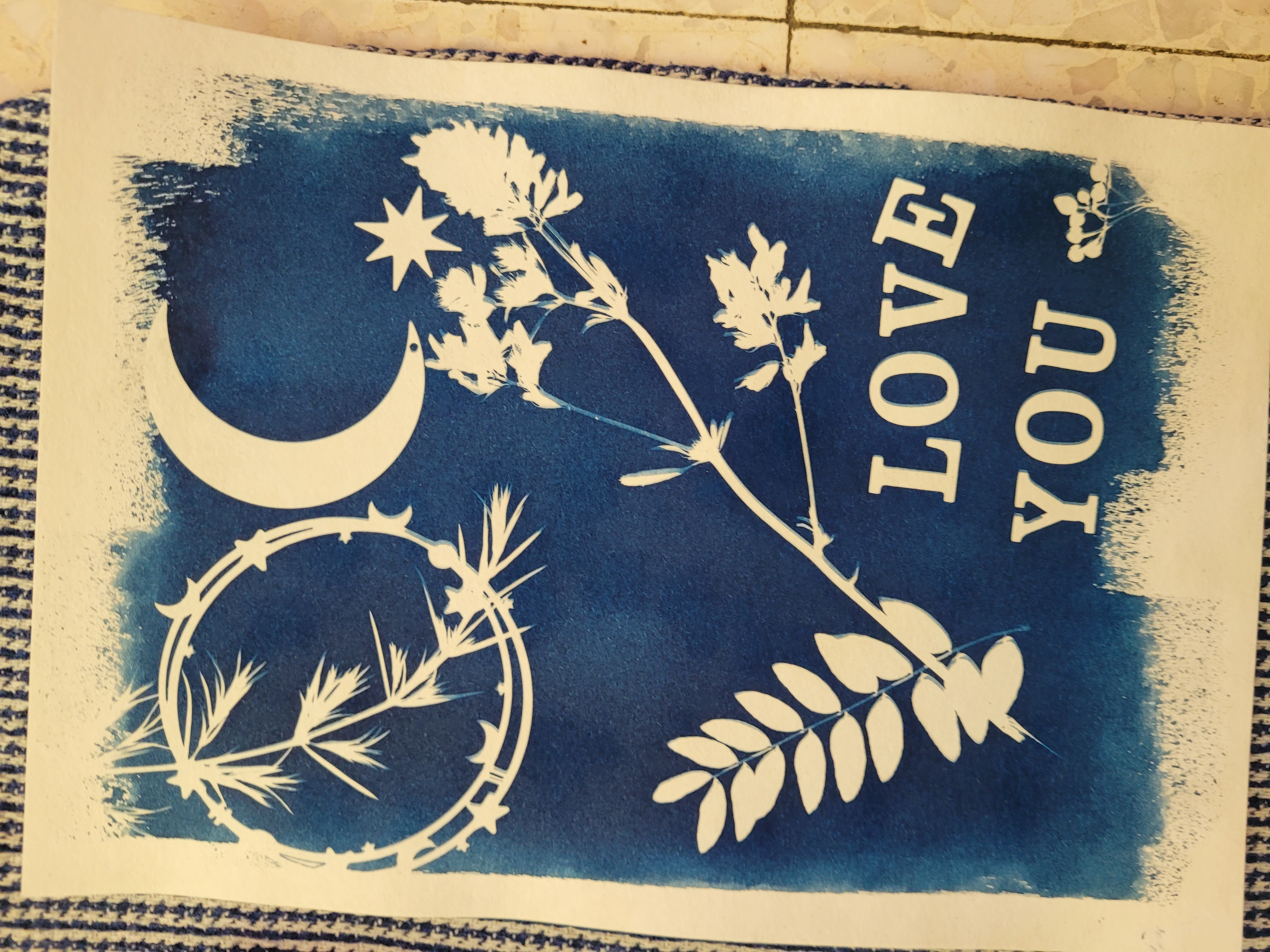 ATELIER CYANOTYPE : L’ART DU BLEU SOLAIRE