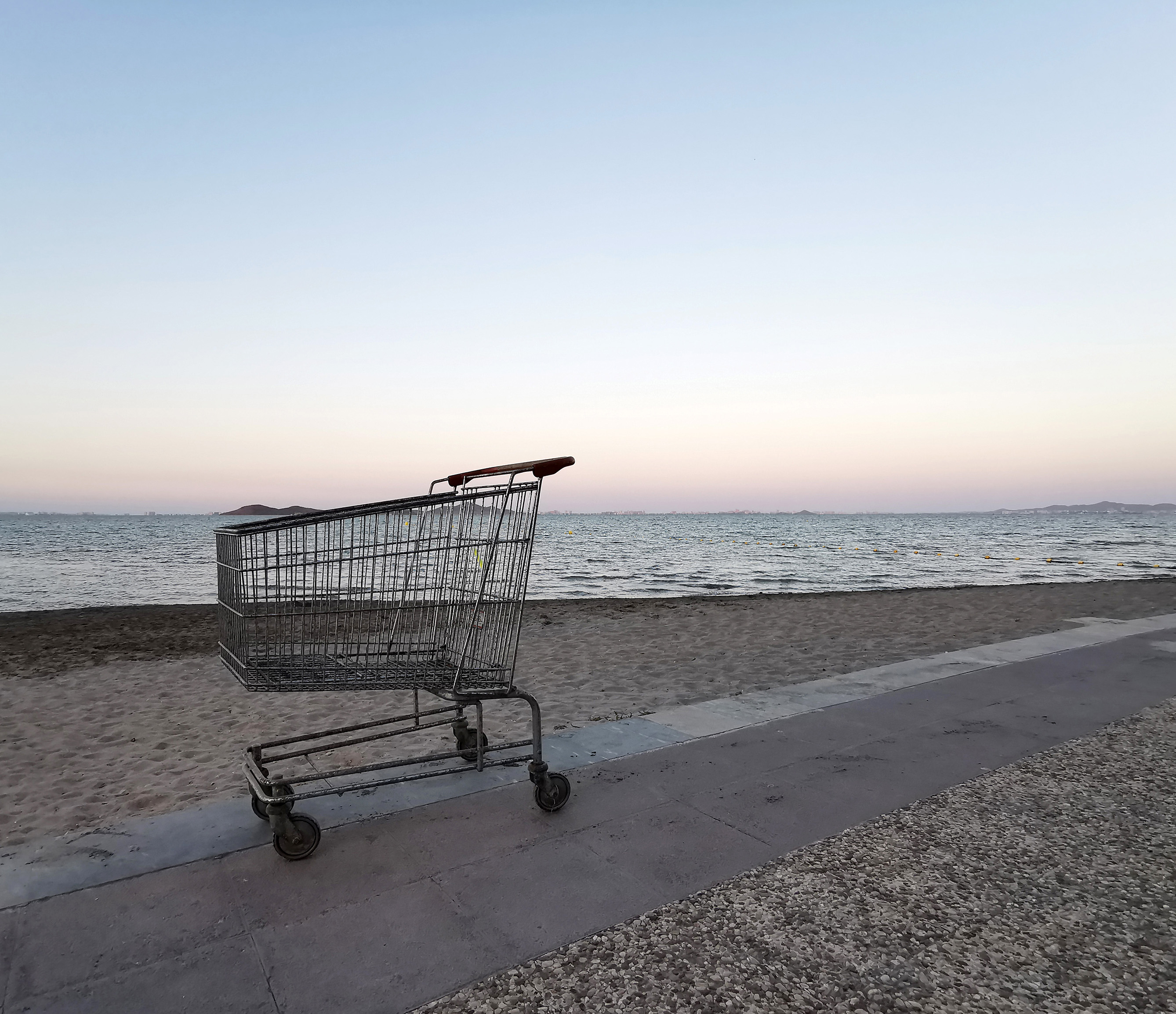 Galina Sviryiaeva-light