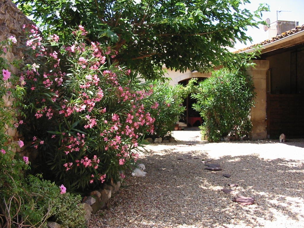 LA FROMENTIERE, Lespignan