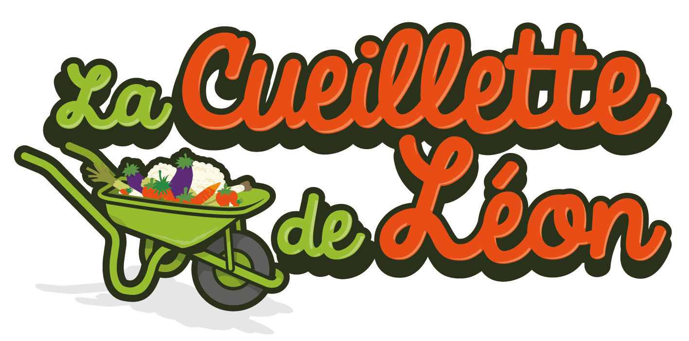 LA CUEILLETTE DE LEON