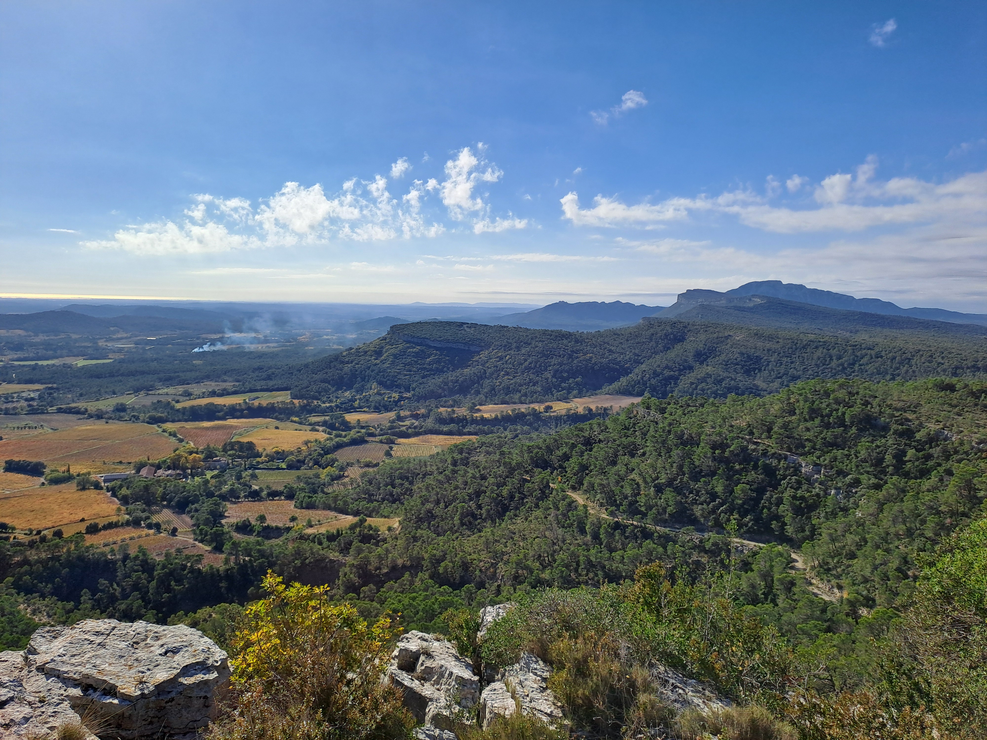PORTRAIT D'UN PAYSAGE