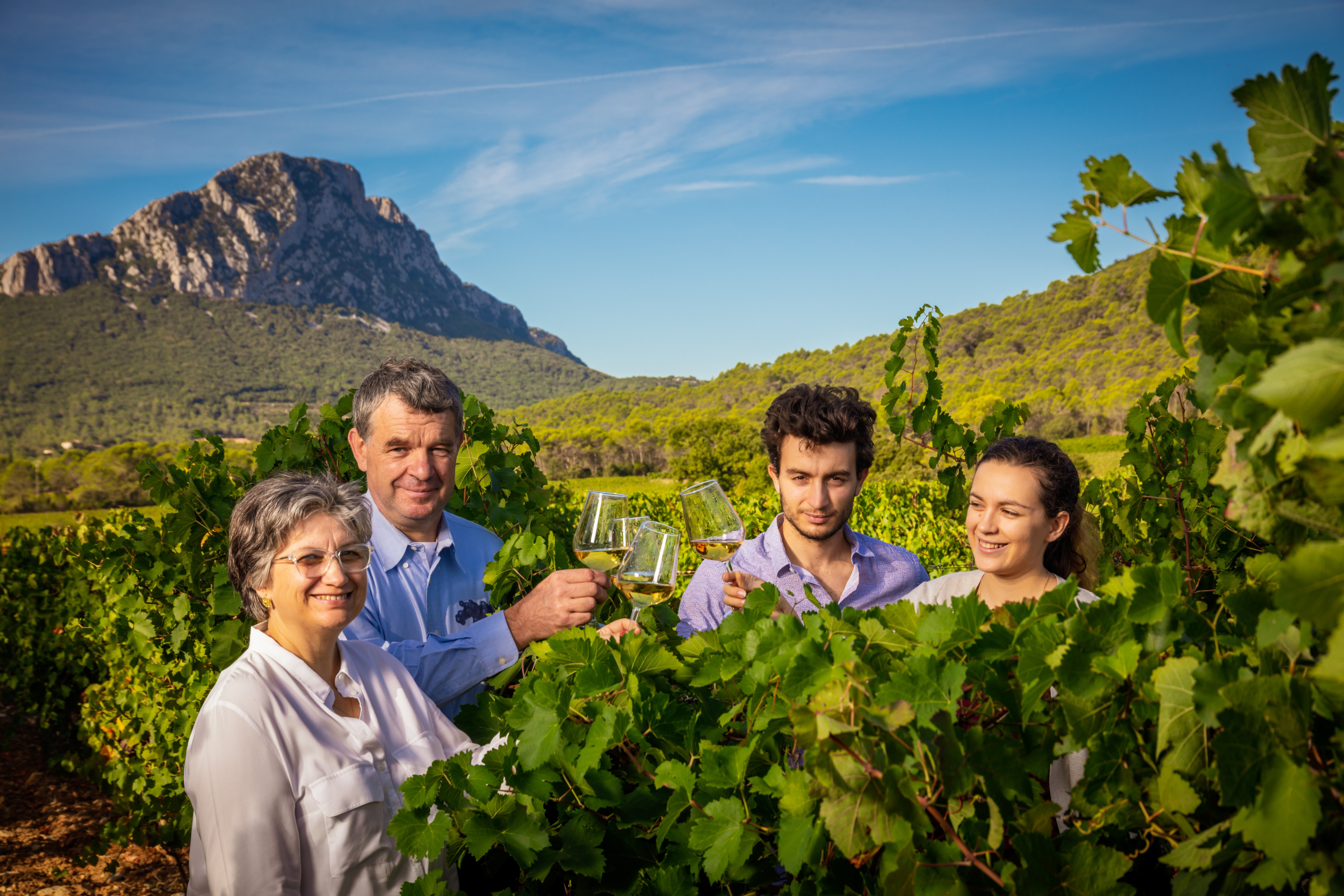 DÉGUSTEZ LES VINS & MIELS DU DOMAINE DE VILLENEUVE