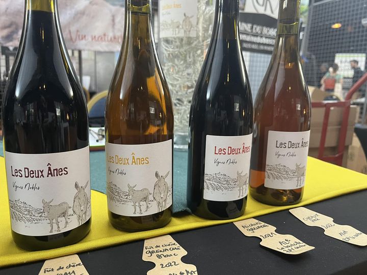 DOMAINE LES DEUX ÂNES