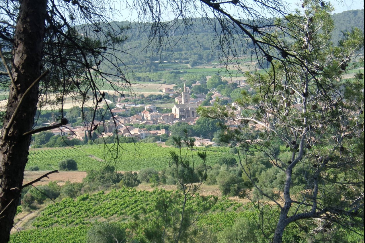 LA BALADE D'ANTOLIA - BALADE GOURMANDE COMMENTÉE