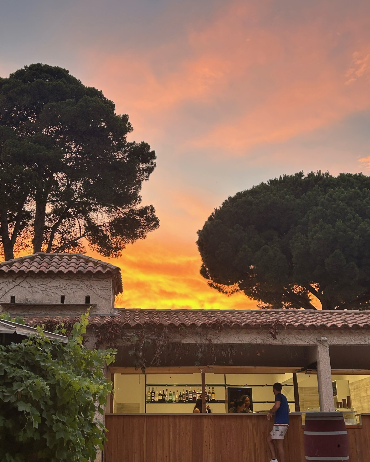 LES HALLES DE LA YOLE, Vendres - photo 3
