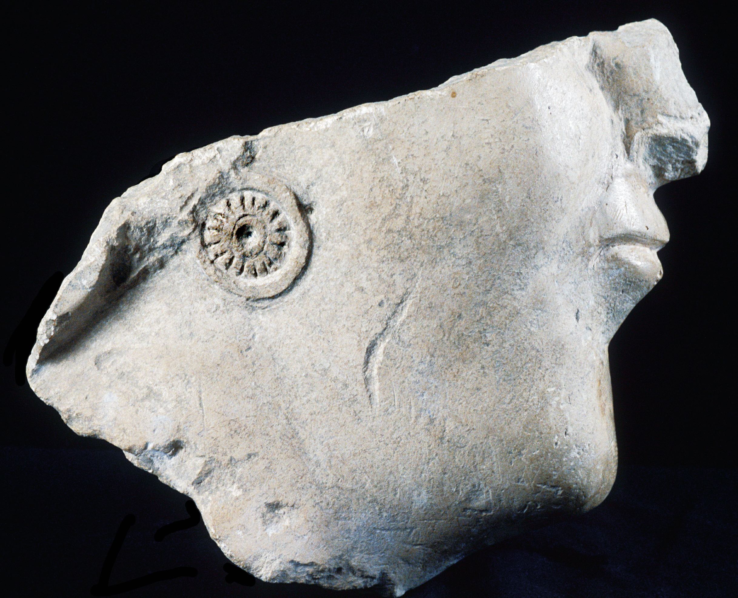 tête de femme incomplète - Entremont ©Musée Granet