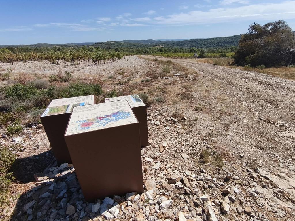 7-vignoble-Balade_La-Caunette_MBarral (10)