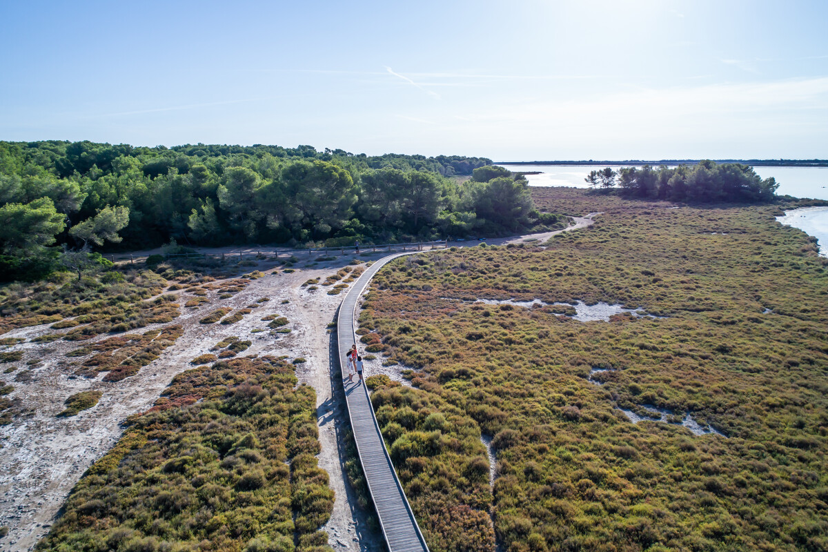 Olivier OCTOBRE - OT Archipel de Thau