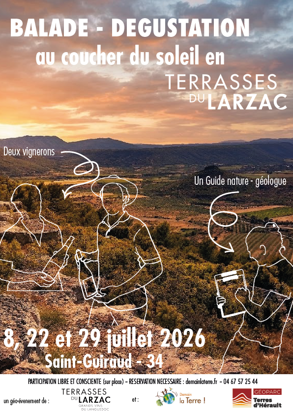 COUCHER DE SOLEIL ET DÉGUSTATION DE VINS - SAINT-GUIRAUD