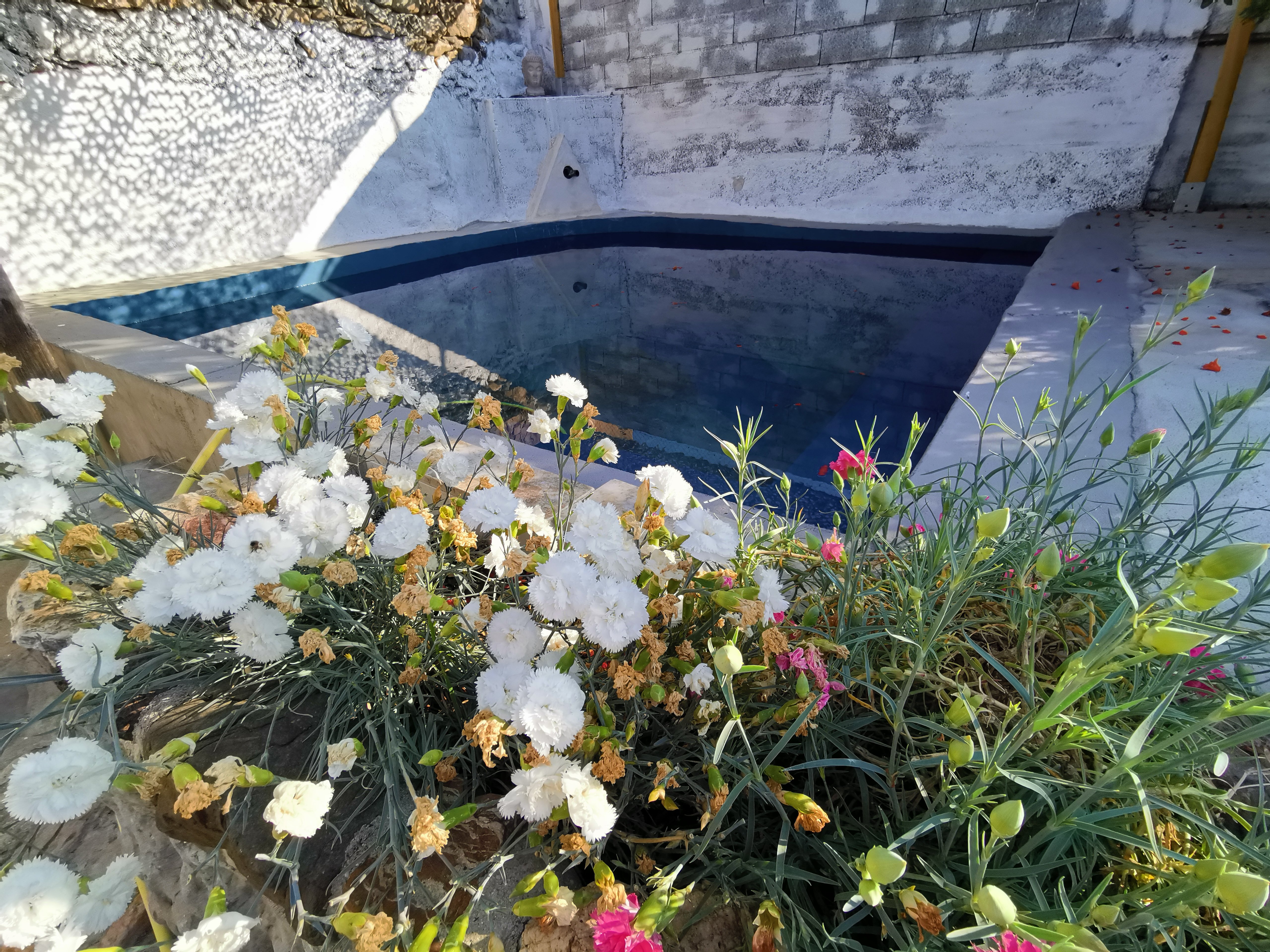 GÎTE MAS DE GAUSSEL