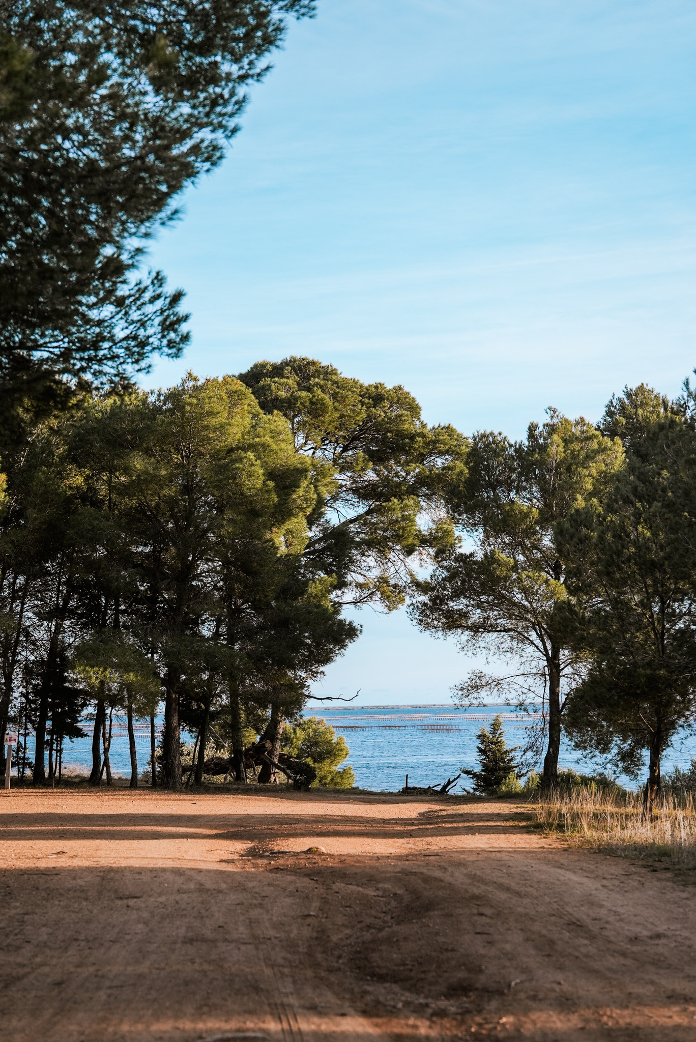 LE DOMAINE DE BELLEVUE, Mèze - photo 4