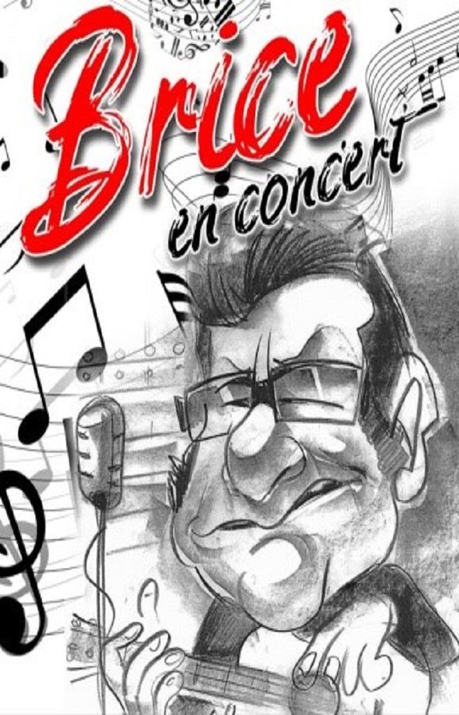 MUSIC LIVE MUSIC « BRICE EN CONCERT »
