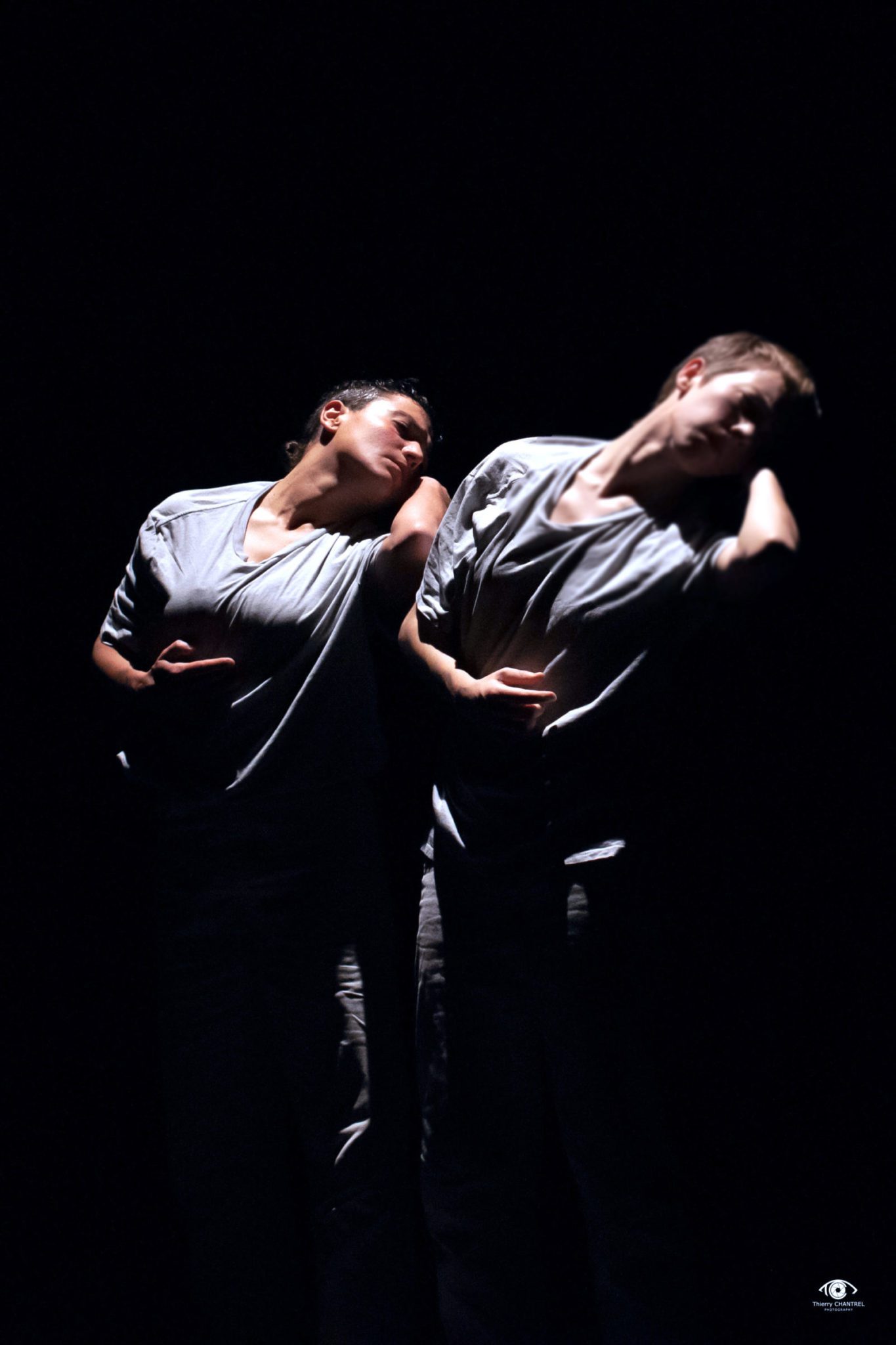 STAGE LES ABEILLES - OSER NOUS-MÊME