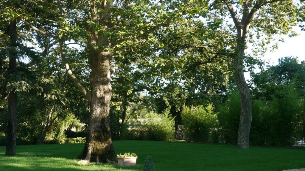 SALLE - CHATEAU DE MALMONT