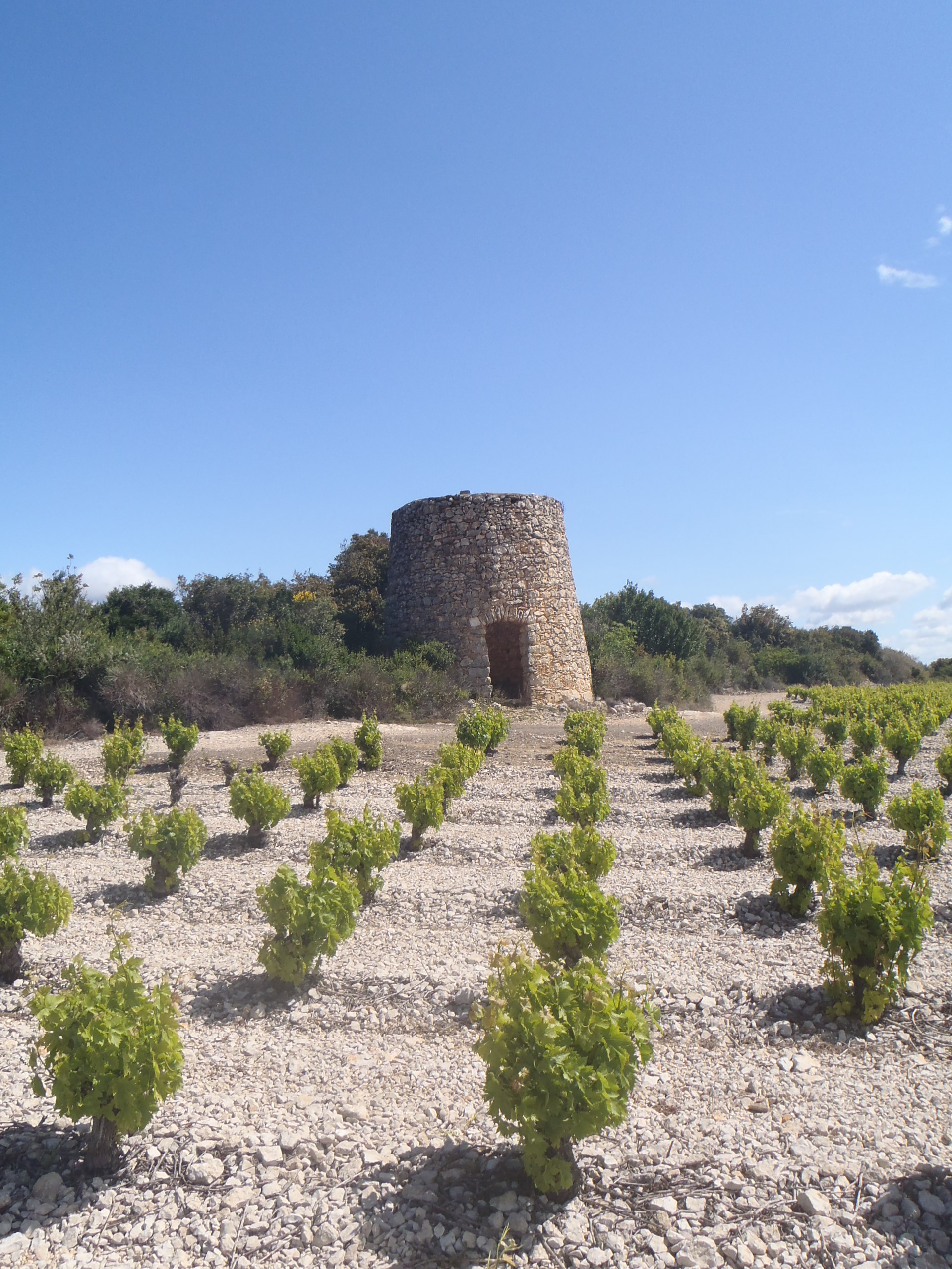 SYNDICAT CRU MINERVOIS