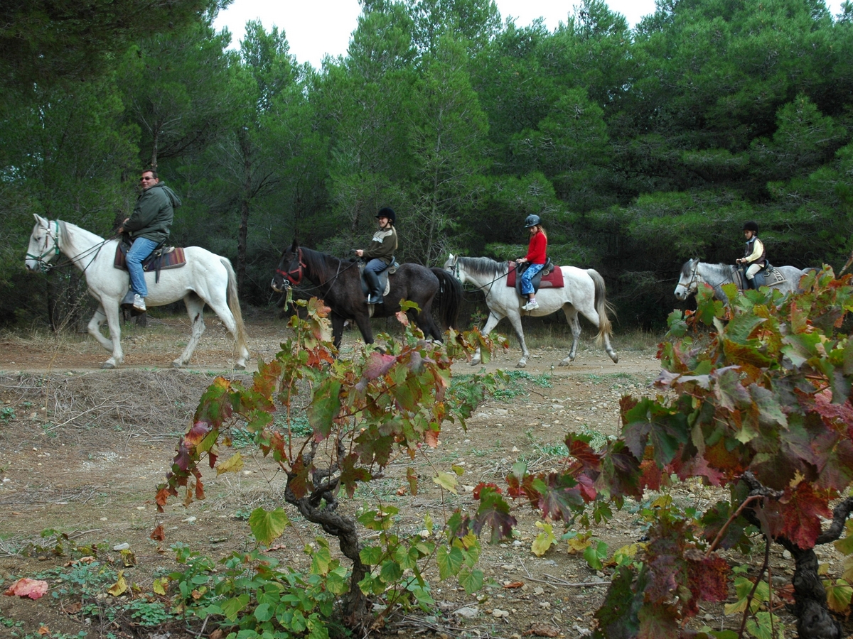 CENTRE DE TOURISME ÉQUESTRE LES AYGUADES