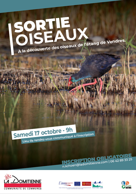 SORTIE OISEAUX