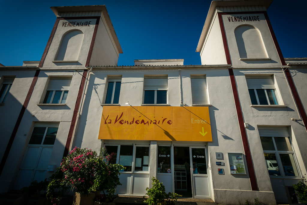 LA VENDÉMIAIRE