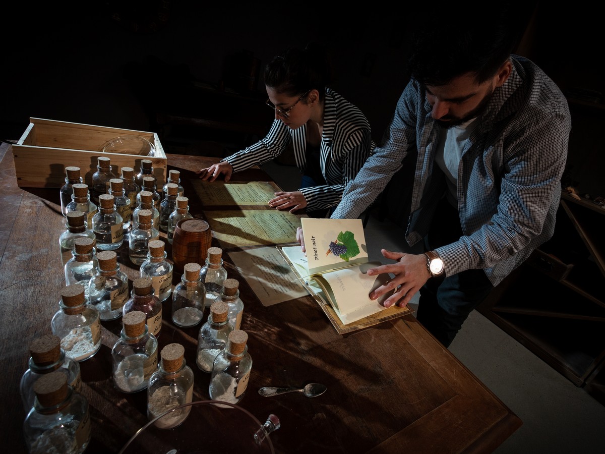 ESCAPE GAME - A LA RECHERCHE DE LA CUVÉE PERDUE