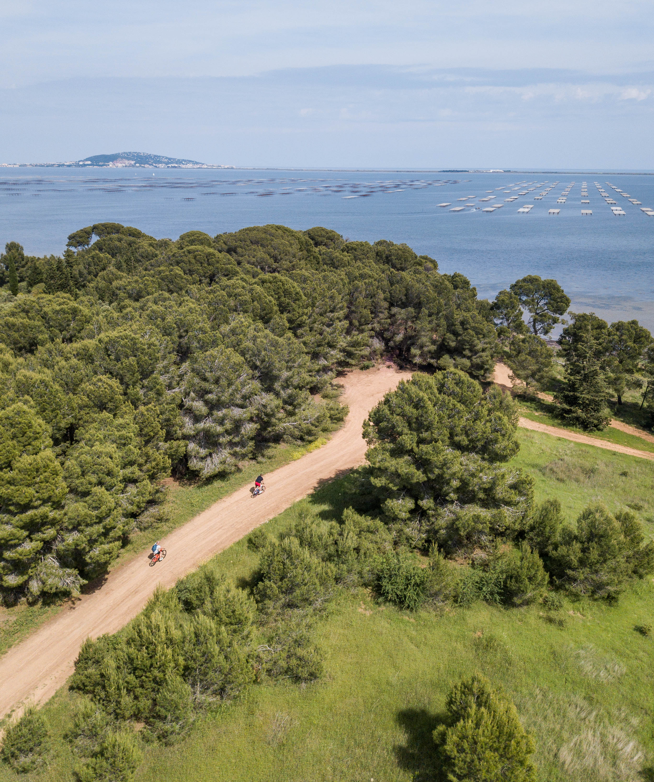 Etang de Thau en vélo Electrique