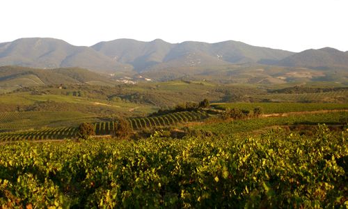 DOMAINE DES PRES LASSES