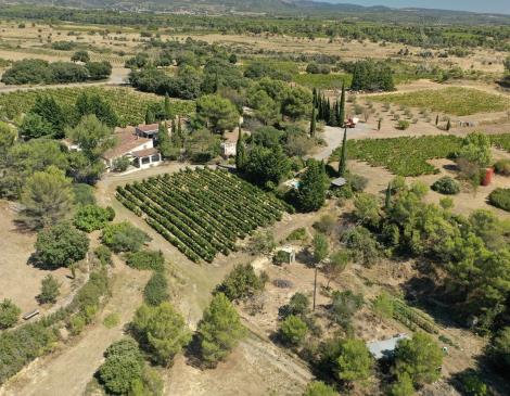 DOMAINE FONTANILLE HAUT VUE