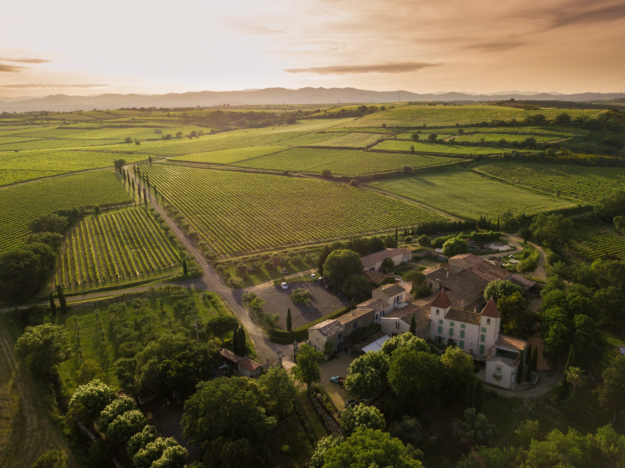 MEUBLÉ "LA MAISON VIGNERONNE"