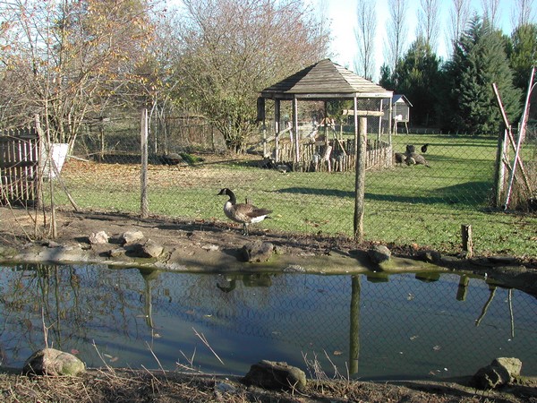 FERME PÉDAGOGIQUE LA MATARELLE