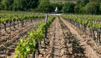 DOMAINE DECALAGE