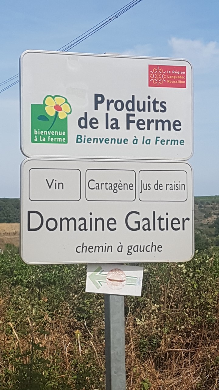 UNE MATINÉE À FLÂNER DANS LES VIGNES POUR DÉCOUVRIR LE MÉTIER DE VIGNERON