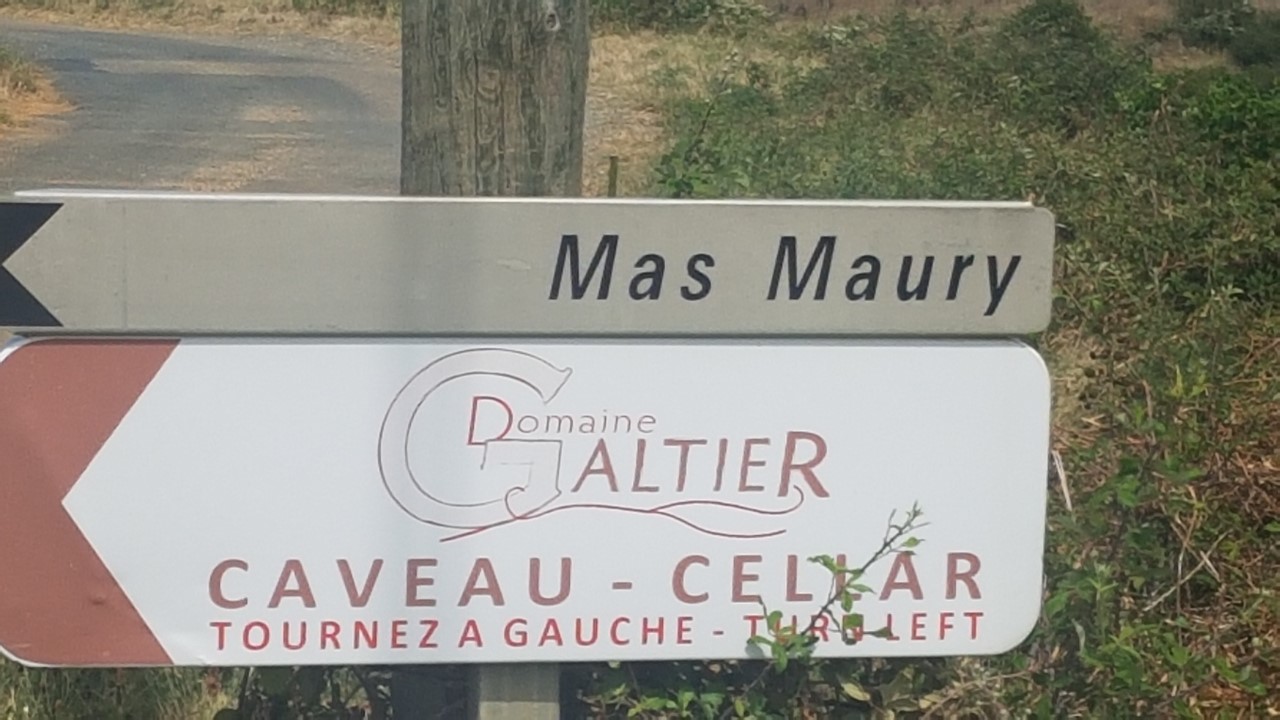 AU SOLEIL COUCHANT, FLÂNER DANS LES VIGNES POUR DÉCOUVRIR LE MÉTIER DE VIGNERON.
