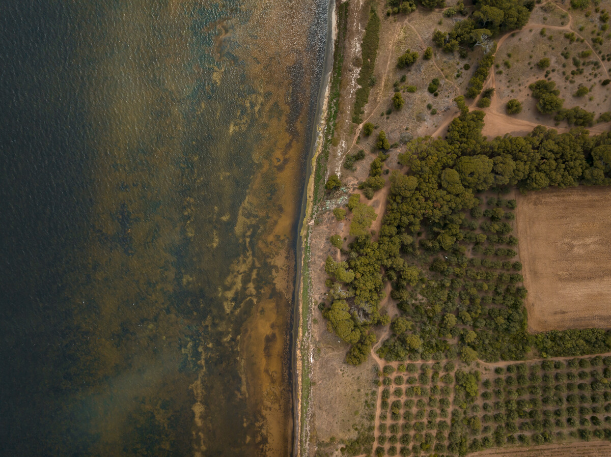 LE DOMAINE DE BELLEVUE, Mèze - photo 2