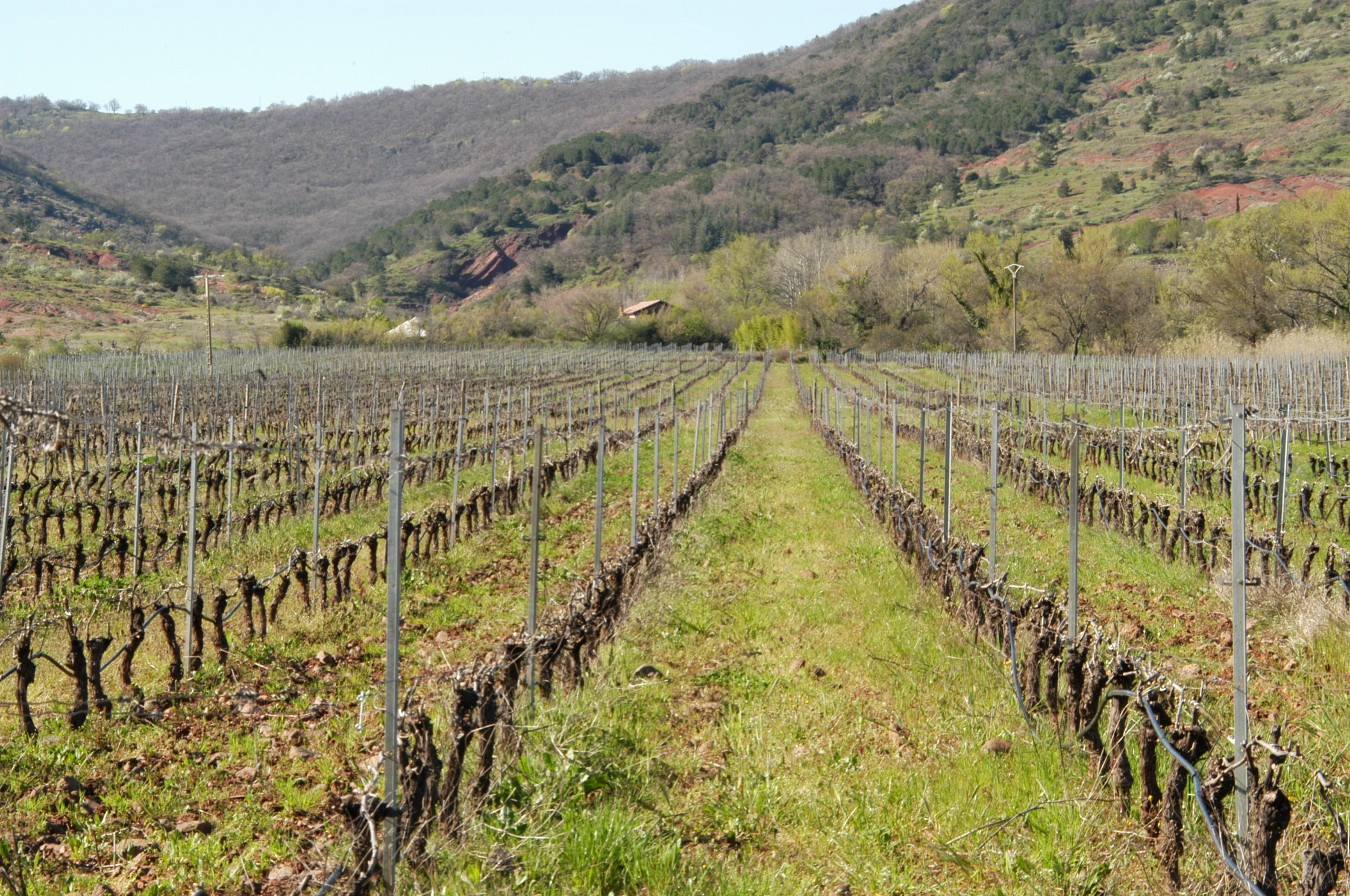 Domaine de Malavieille