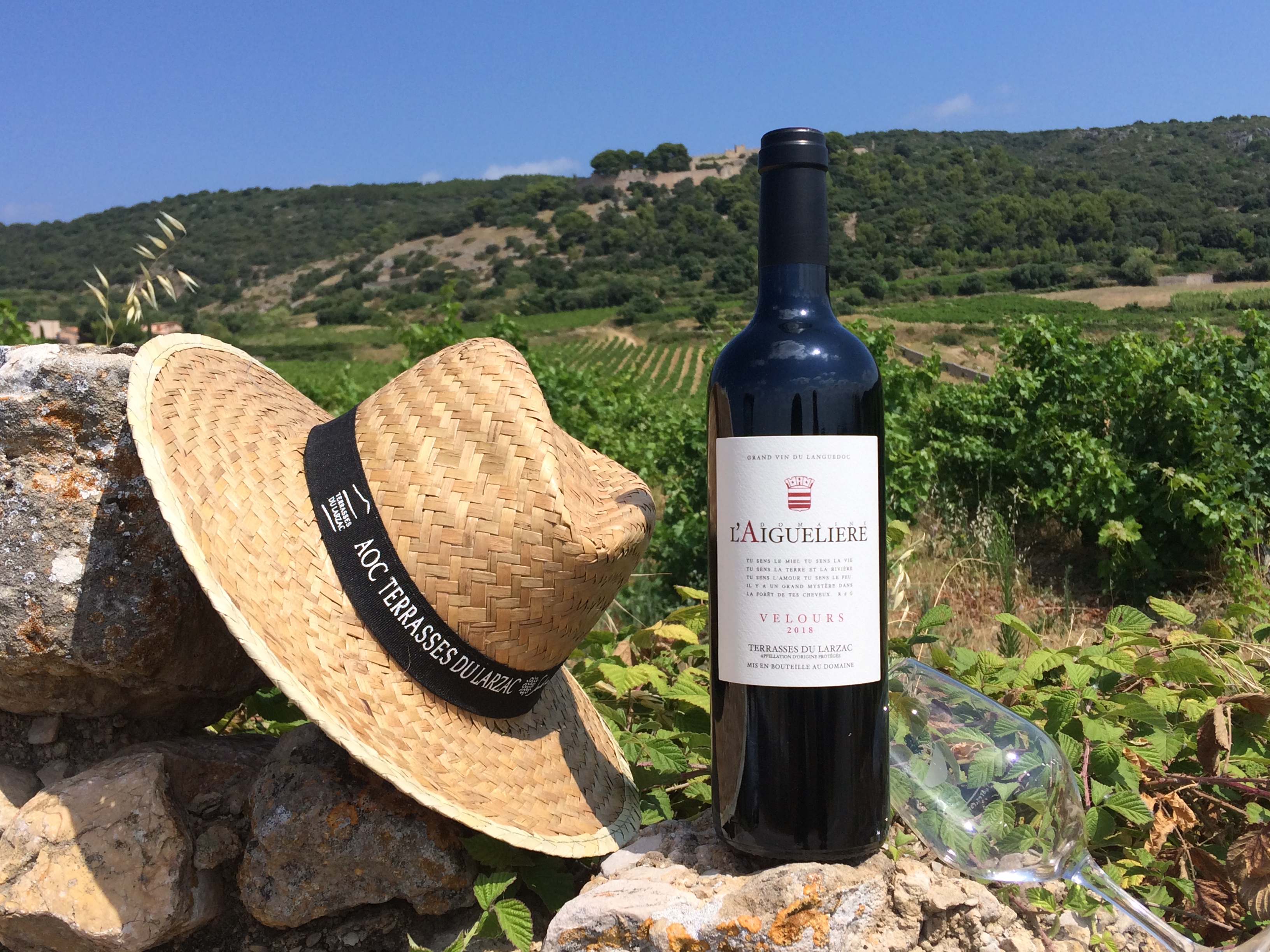 Domaine de l'aiguelière